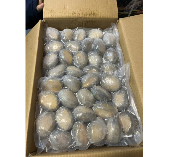 BÀO NGƯ ĐÔNG LẠNH CÁC SIZE