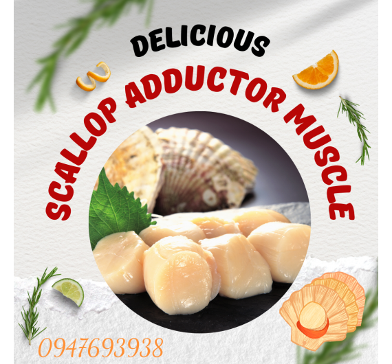 CỒI SÒ ĐIỆP ĐÔNG LẠNH