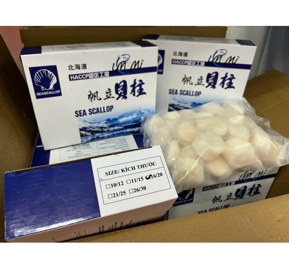 CỒI SÒ ĐIỆP ĐÔNG LẠNH