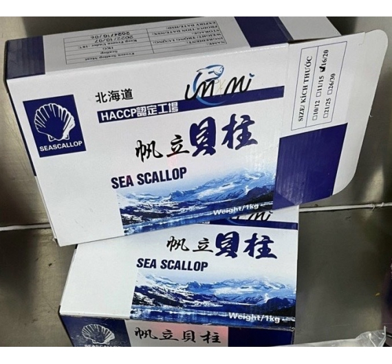 CỒI SÒ ĐIỆP ĐÔNG LẠNH