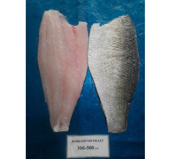Cá chẽm fillet ( cá vược ) 1kg size 300/500g