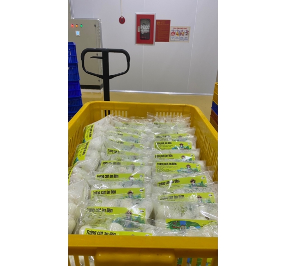 TRỨNG CÚT ĂN LIỀN 100 TRỨNG/ TÚI